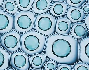 Teal-toned cellular structures representing cellular wellness and renewal