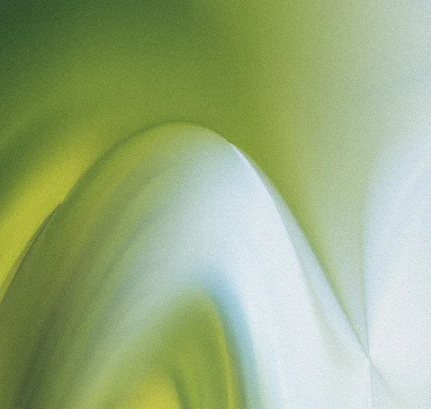 Raindrops on a green leaf symbolizing evidence-based wellness and renewal