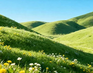 Rolling green hillside with wildflowers evoking healthy aging and vitality